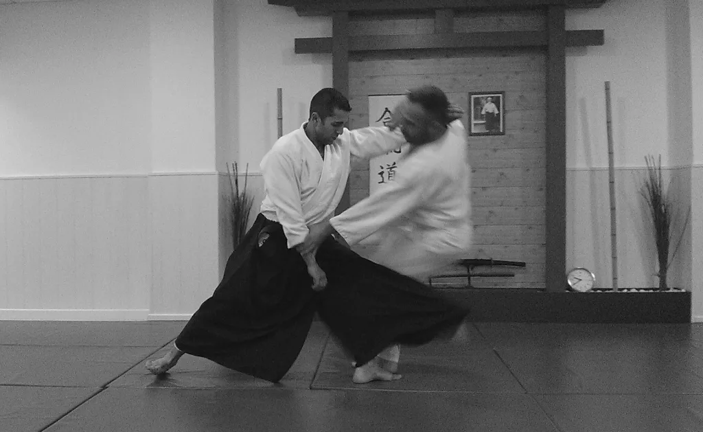 imagenes-dojo-heijoshin-aikido-6
