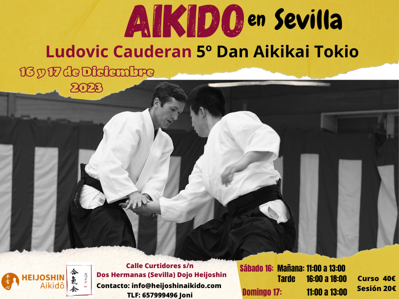 Aikido en Sevilla – Ludovic Cauderan