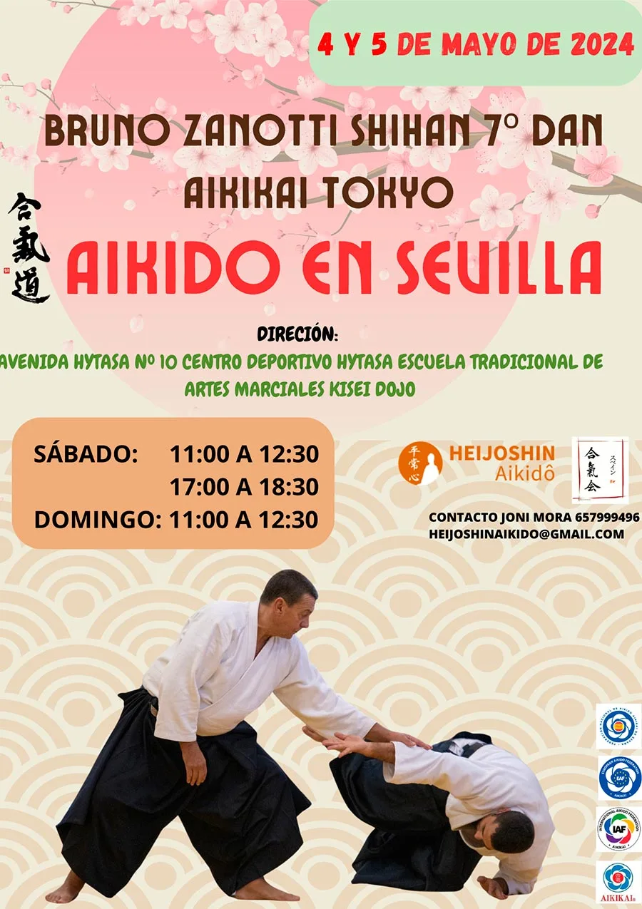 Curso de Aikido en Sevilla 4 y 5 Mayo 2024