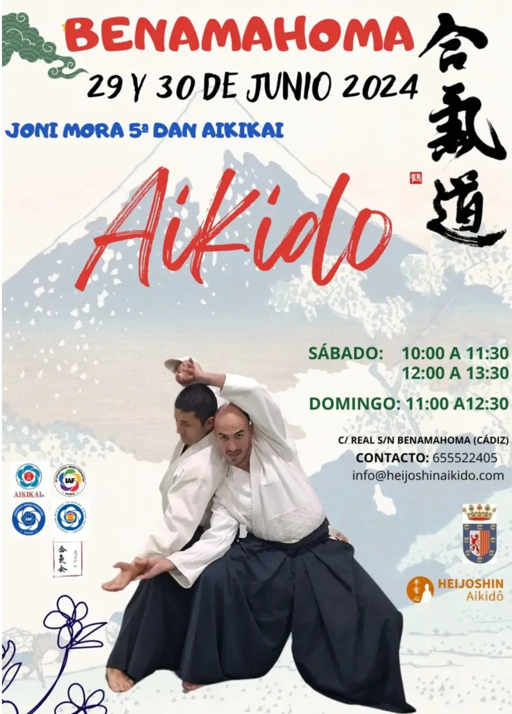 Curso de Aikido en Benamahoma 29 y 30 Junio 2024