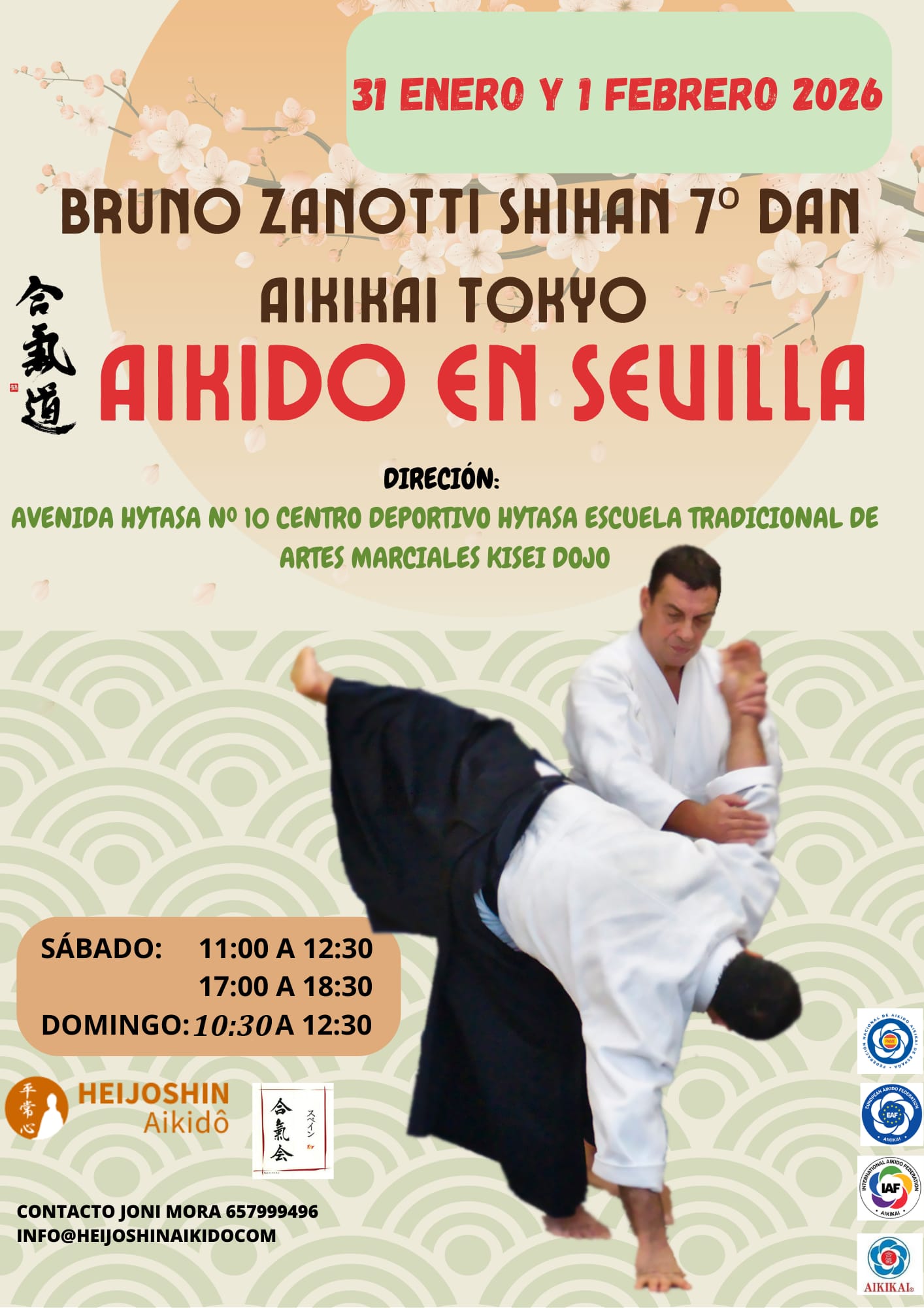 Curso de Aikido en Sevilla 31 enero y 1 febrero 2026